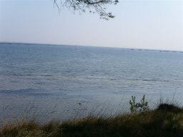 Stage voile Marseillan (2008)